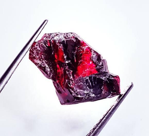 Immunity Garnet Stone